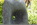 Durchblick 1