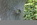 Der zweite Blick